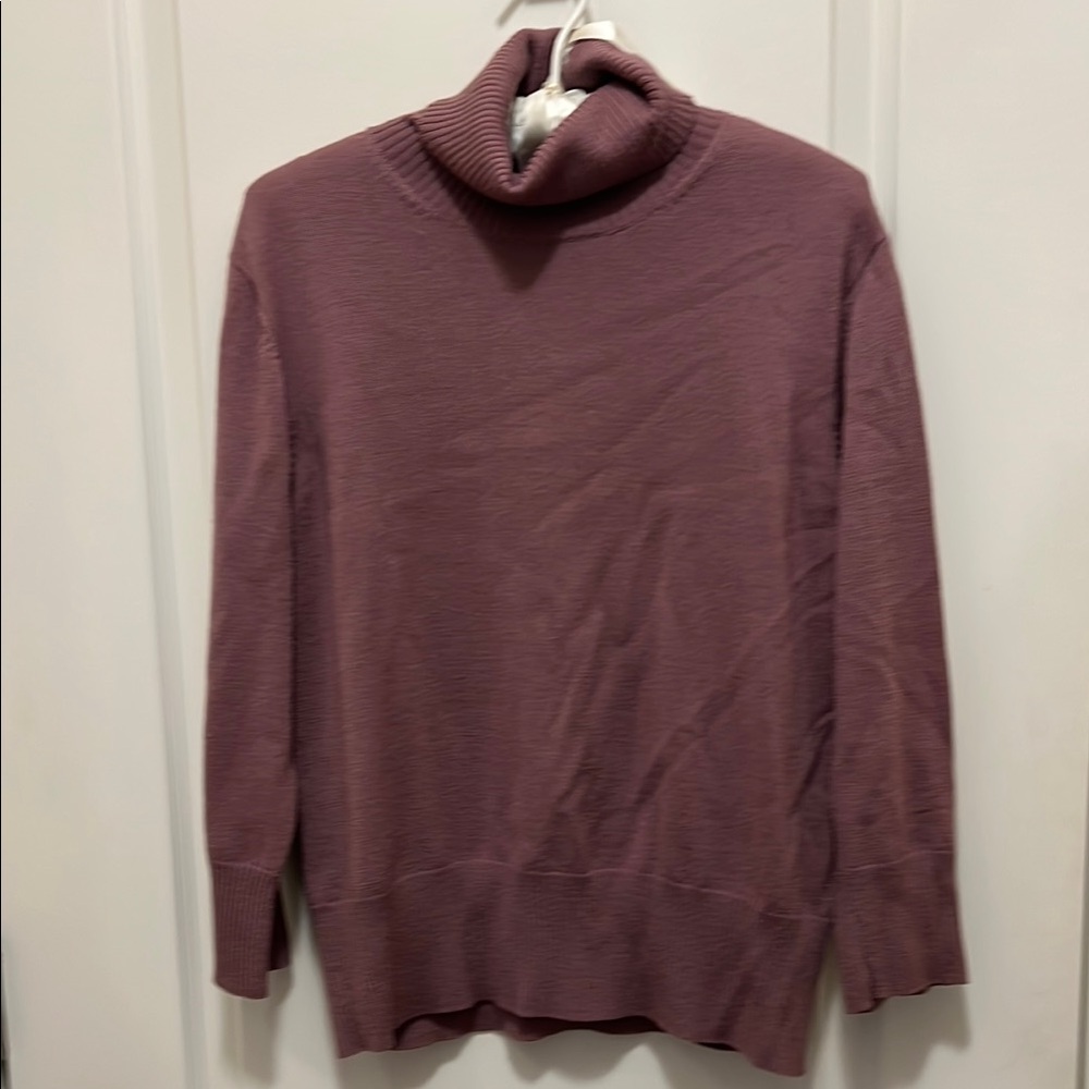 Banana Republic Mauve Turtleneck Sweater